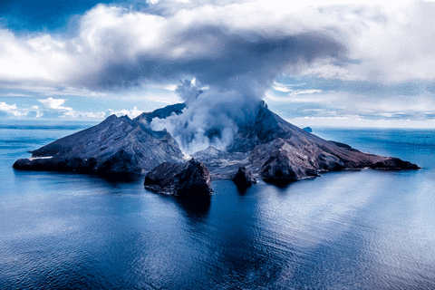 island zealand GIF