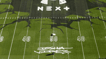Football Satisfying GIF by Turf Tank