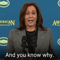 You Know Why Kamala Harris GIF by The Democrats