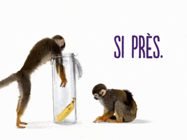 Hungry So Close GIF by TELUS