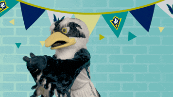 Pointing Homecoming GIF by UNCW Alumni Association