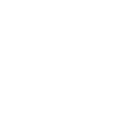 Rhino Kydex Sticker