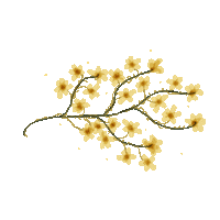 Flowers Flores Sticker