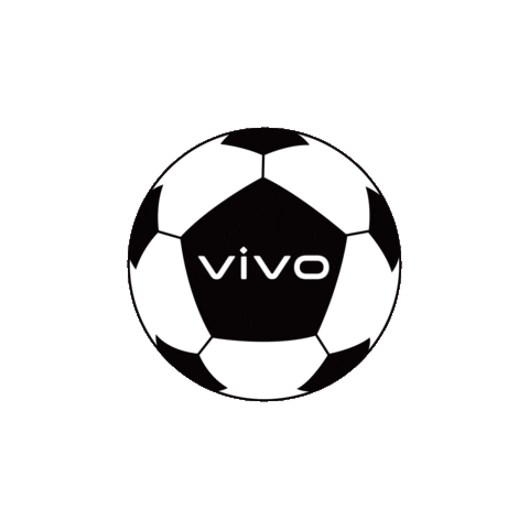 vivo_global Sticker