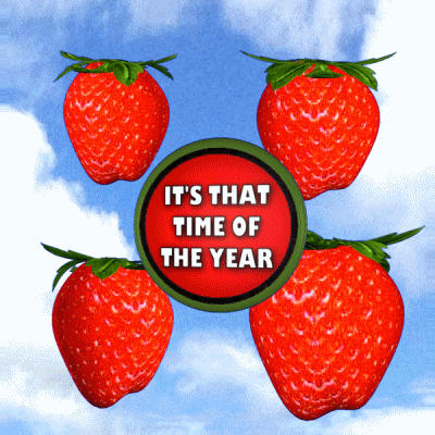 Pick Your Own Summer Time GIF