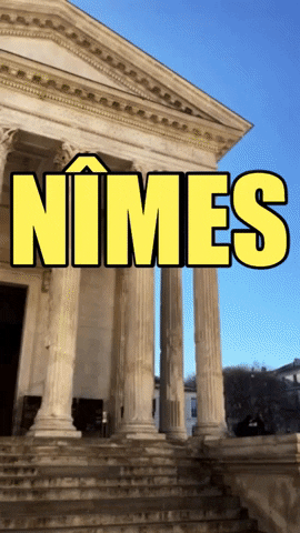 France GIF