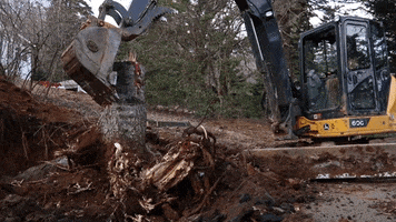 Heavy Equipment Tree Removal GIF by JC Property Professionals