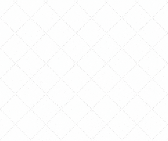 World YWCA GIF