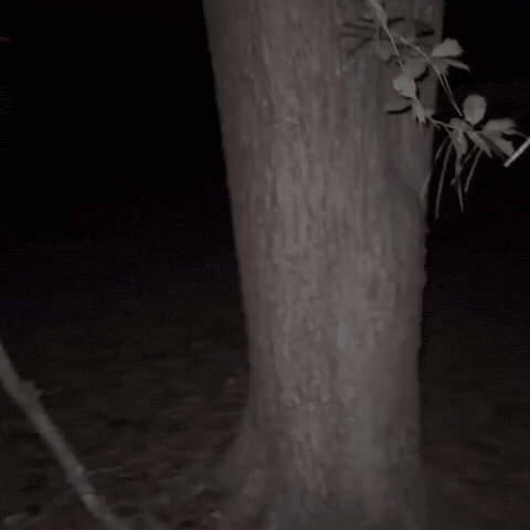 Edge Goon GIF