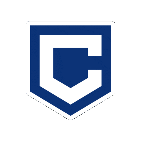 Cronos Proteção Veicular Sticker