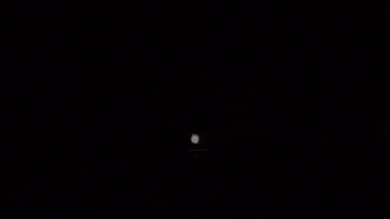 GIF by BlankSquareproductions