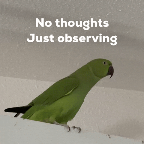 Suspicious Reaction Gif GIF