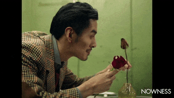 Social Class And Hierarchy In Asian Society GIF by NOWNESS