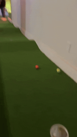 Winning Hole In One GIF by Tipsy Putt