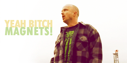 bitch