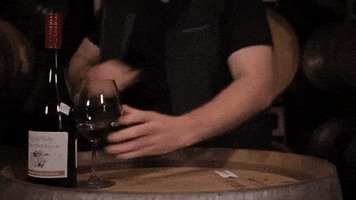 Red Wine Chad GIF by nakedwines.com