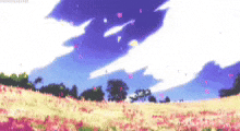 Zanzibar00010 GIF