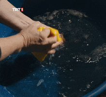 Water Cleaning GIF by TRT