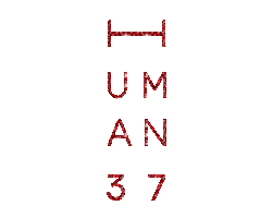 H37 Sticker by glennterprise