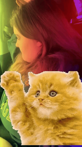 GIF by Shop Texas Boutique