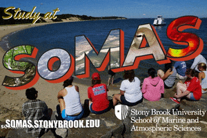 Mar Stony Brook GIF by School of Marine and Atmospheric Sciences