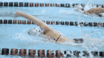 Colgateraiders GIF by Colgate Athletics