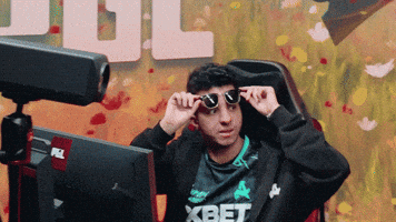 Sunglasses GIF by Aurora Gaming