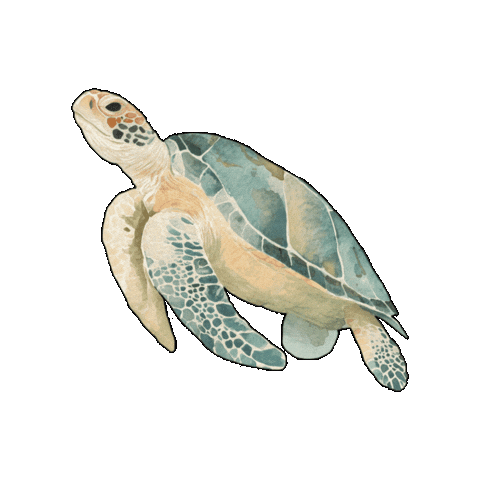 The Roaming Vet Sticker