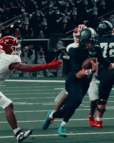 Fight On Lone Star GIF