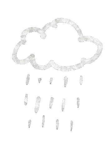 Rain Sticker