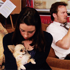 parks and recreation i hate people GIF