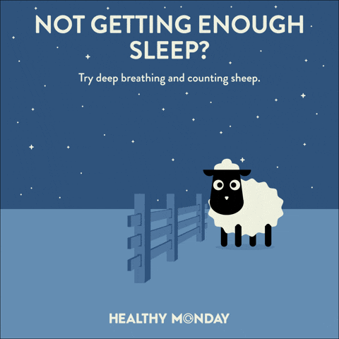 Countingsheep GIF