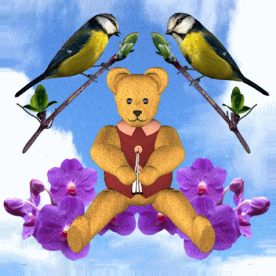Teddy Bear Birds GIF