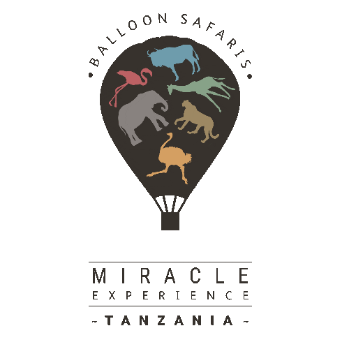 Miracle Experience Sticker