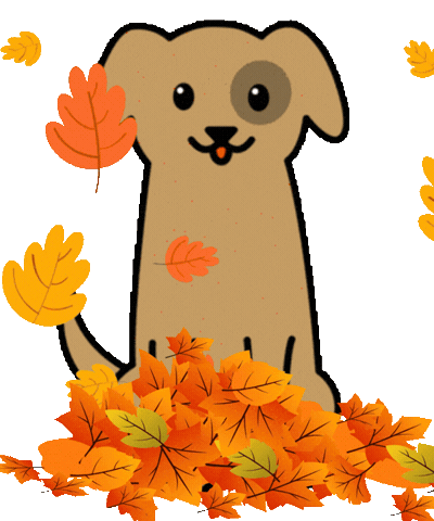 Dog Fall Sticker by respekTiere e.V.
