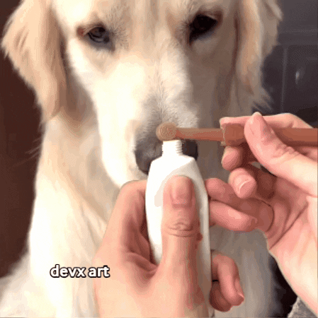 Dog Brushing GIF by DevX Art