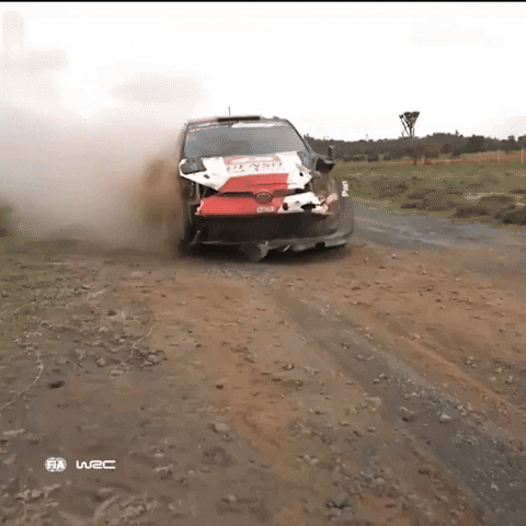 Damage Fail GIF by FIA World Rally Championship