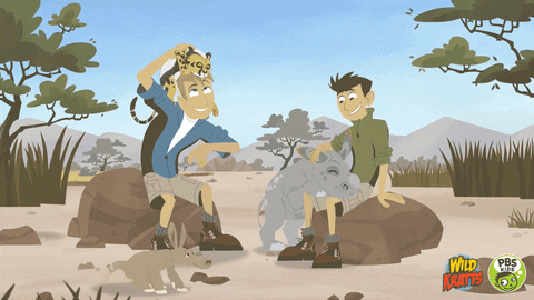 Summer Of Adventure GIFs Get The Best GIF On GIPHY