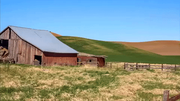 washington GIF
