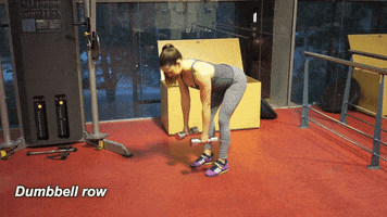 bec8888  GIF