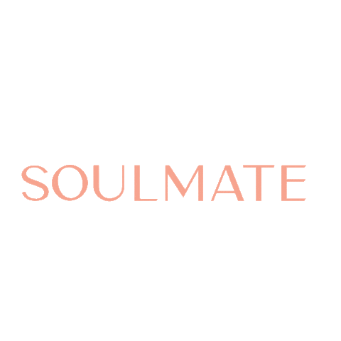 Soulmate Sticker by PAUL HEWITT