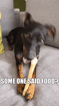 Find Share On Giphy Find Share On Giphy
