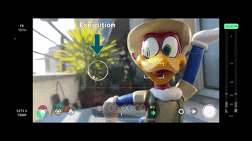 Animated GIF