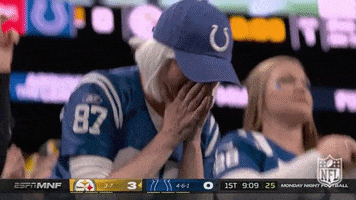 Happy Indianapolis Colts GIF by NFL