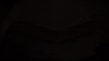 GIF by DMK International