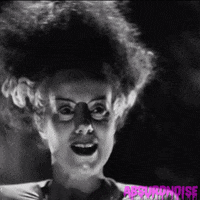 bride of frankenstein horror movies GIF by absurdnoise