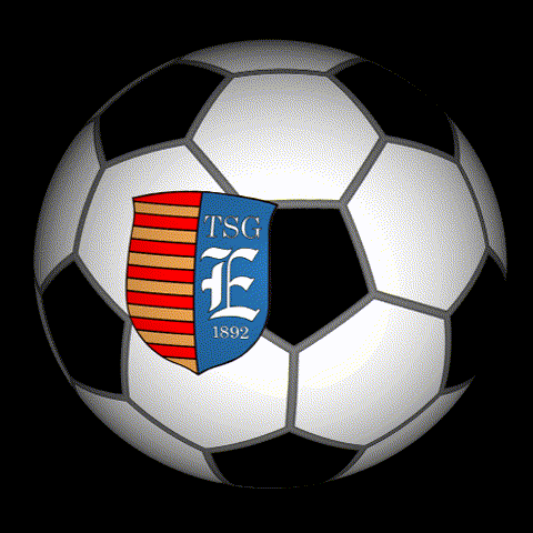 TSGEverode GIF