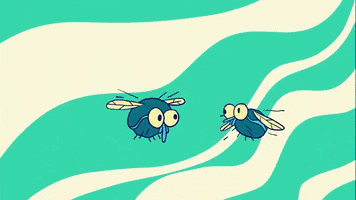 Fly Bugs GIF by ANTI- Records
