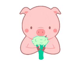 Vegan Pig Sticker