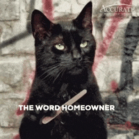Home Loans GIF by Accurate Mortgage Group